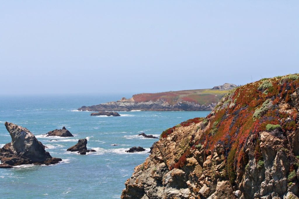 bodega bay california