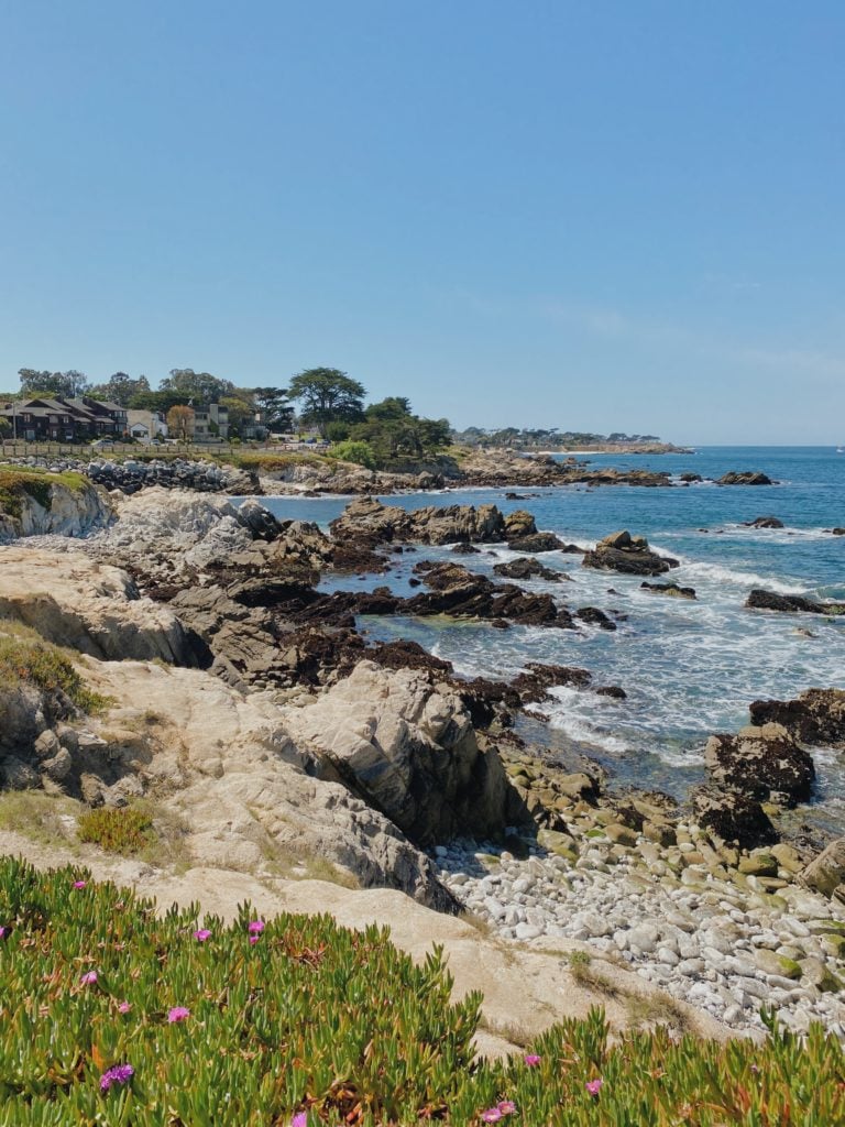 17-Mile Drive - Epic Big Sur Road Trip Stops - TravelsWithElle