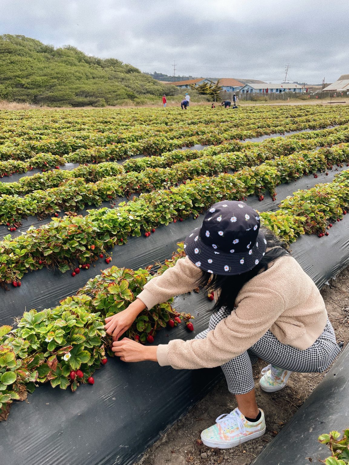 18 Unmissable Things To Do In Nevada City, California