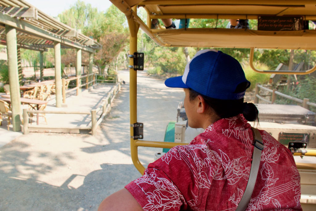 Zebra - Safari West Review - Is Safari West Worth The Money - TravelsWithElle