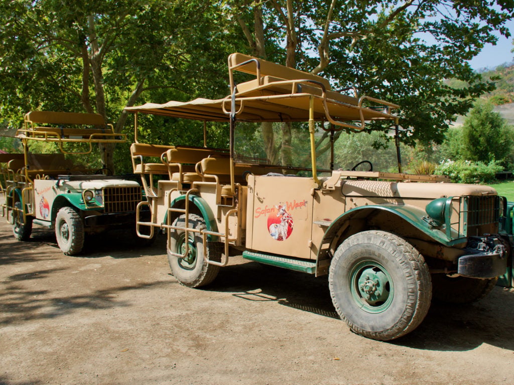 Safari West Review - Is Safari West Worth The Money - TravelsWithElle