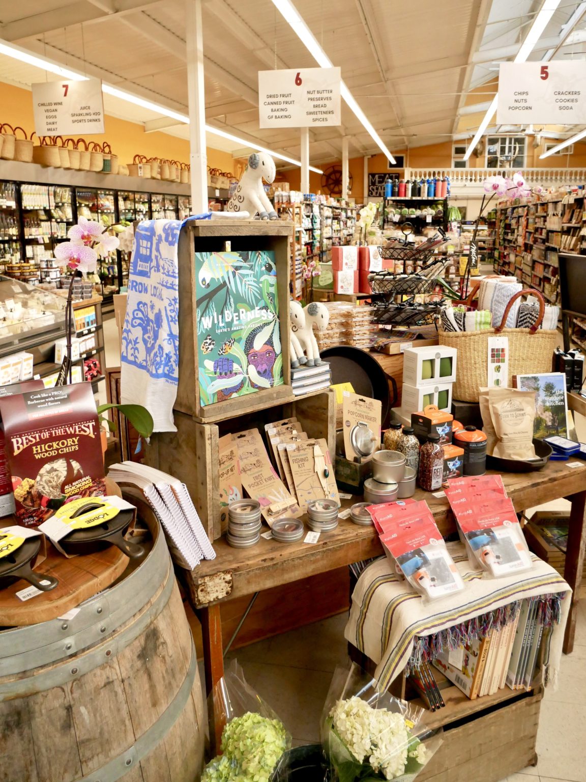 Point Reyes Day Trip Itinerary: The Perfect Weekend Adventure