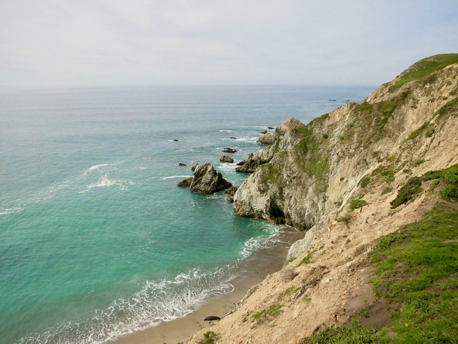 Point Reyes Day Trip Itinerary: The Perfect Weekend Adventure