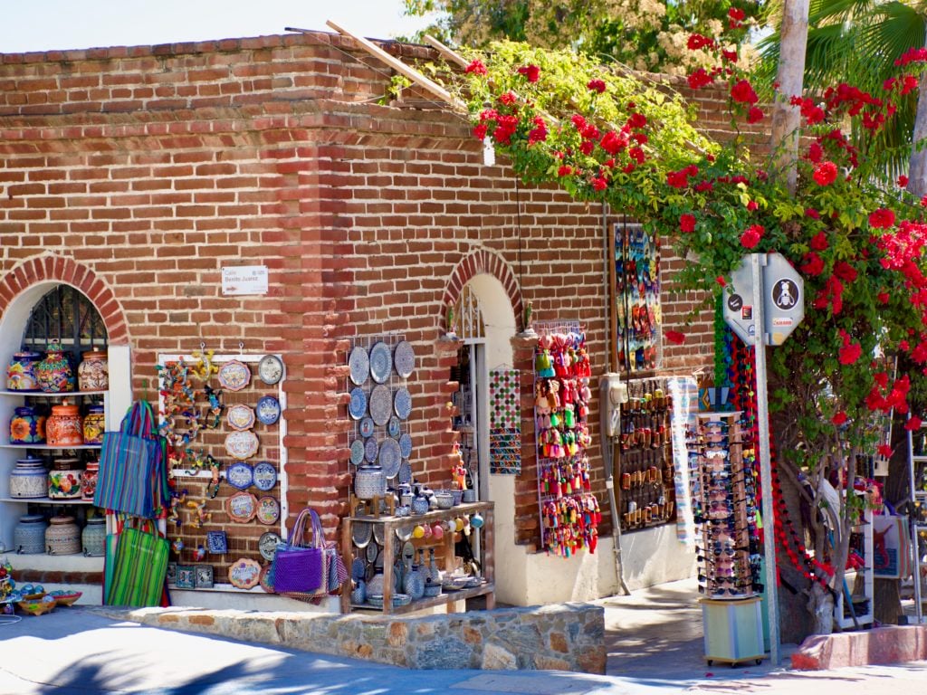 Best Things To Do In Todos Santos Mexico