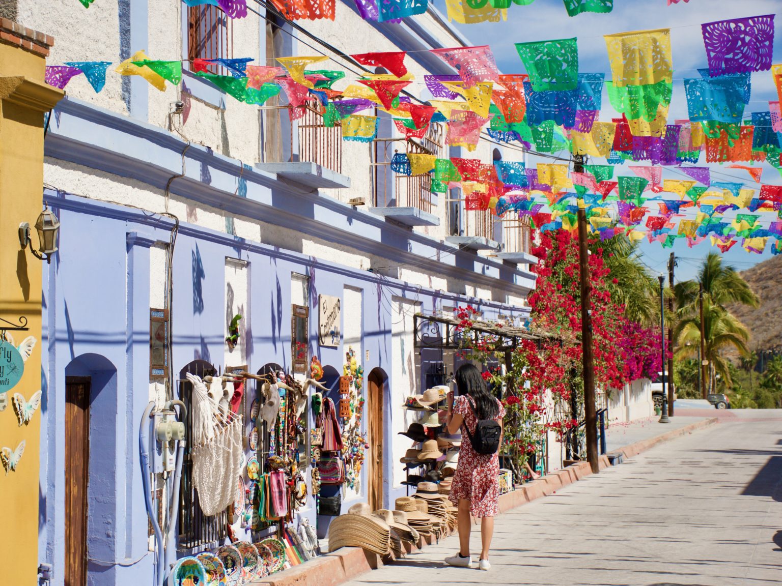 20 Magical Things To Do In Todos Santos, Mexico