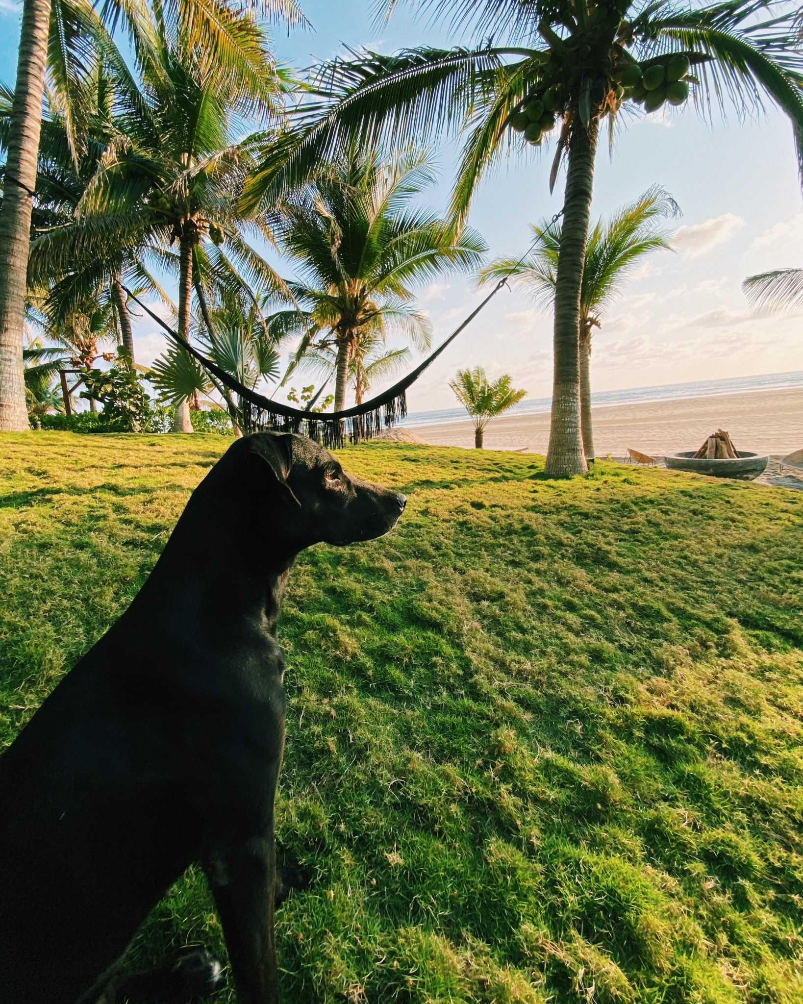 19 FunFilled Things To Do In IxtapaZihuatanejo, Mexico