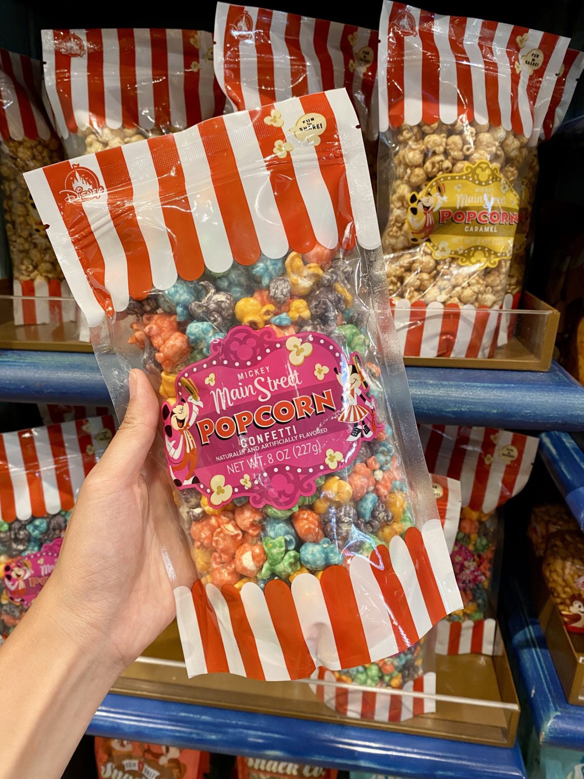 15 Best Disneyland Souvenirs To Buy