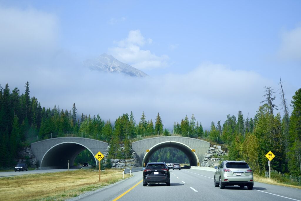 18 Pro Road Trip Hacks That Actually Go the Distance 12 Canada National Park Road Trip - 37
