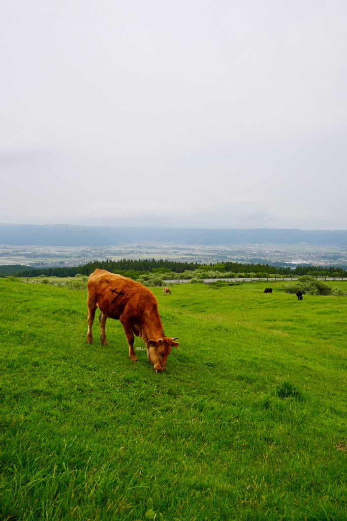 Aso-Kuju National Park Japan - 5