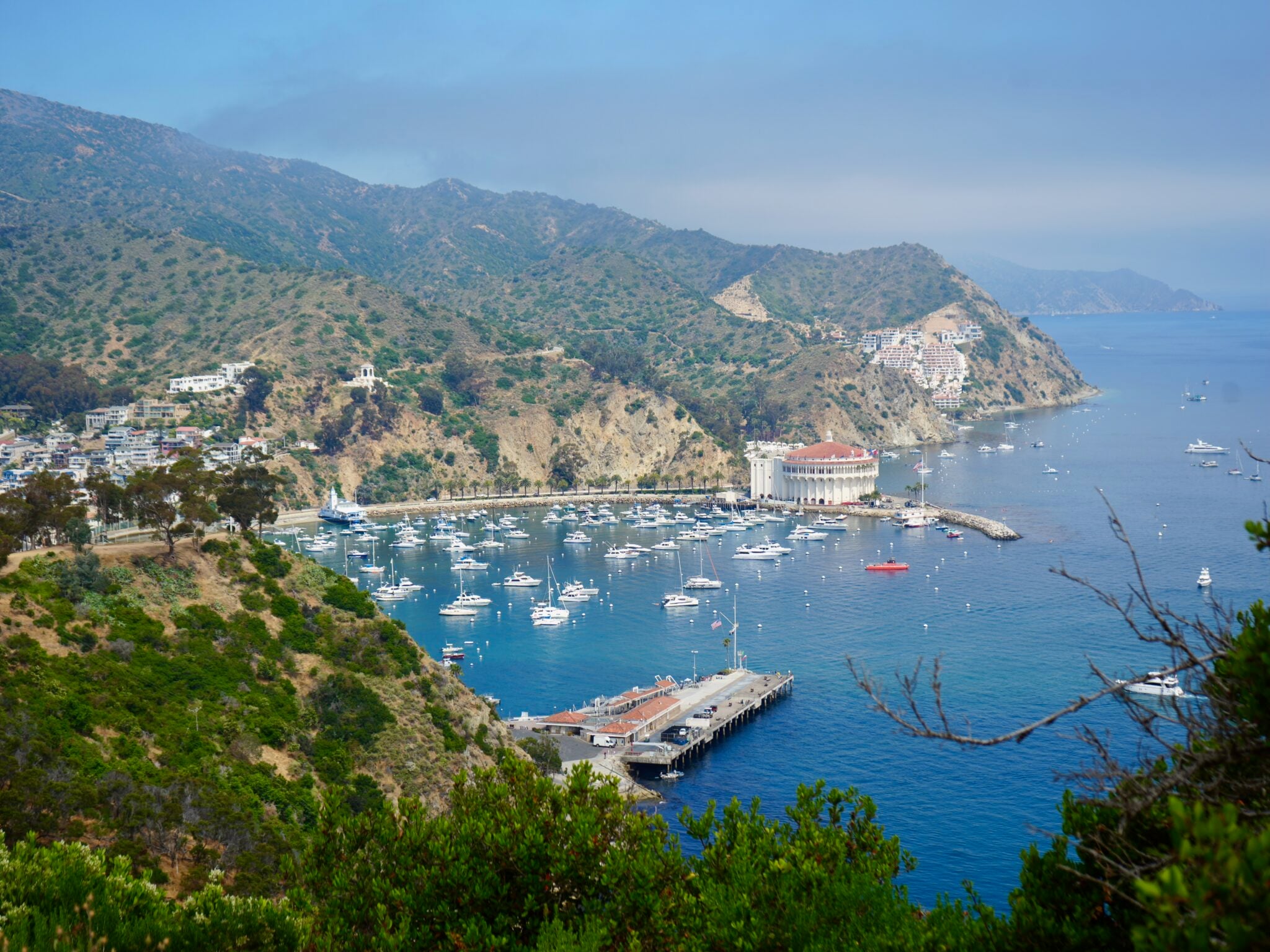 15 Best Things To Do On Catalina Island For An Epic Day Trip