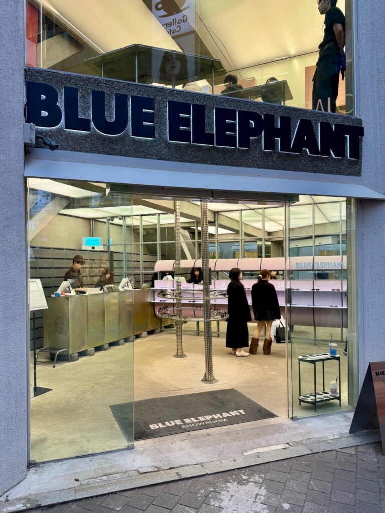 Blue Elephant Sunglasses