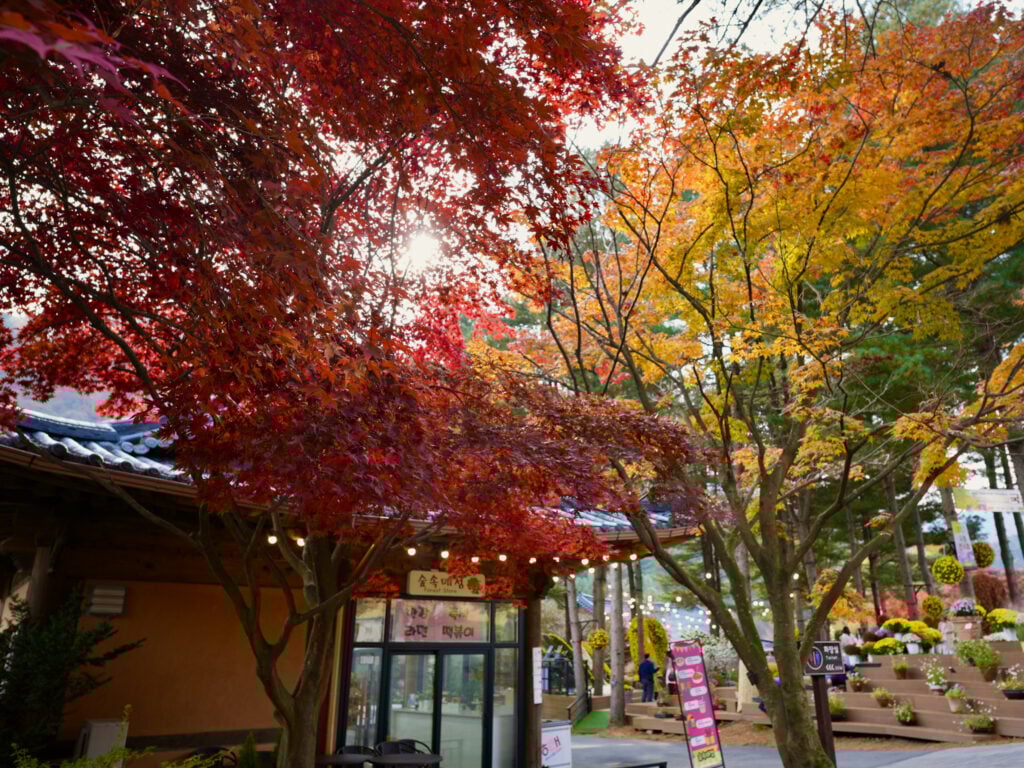 Garden of Morning Calm In Autumn