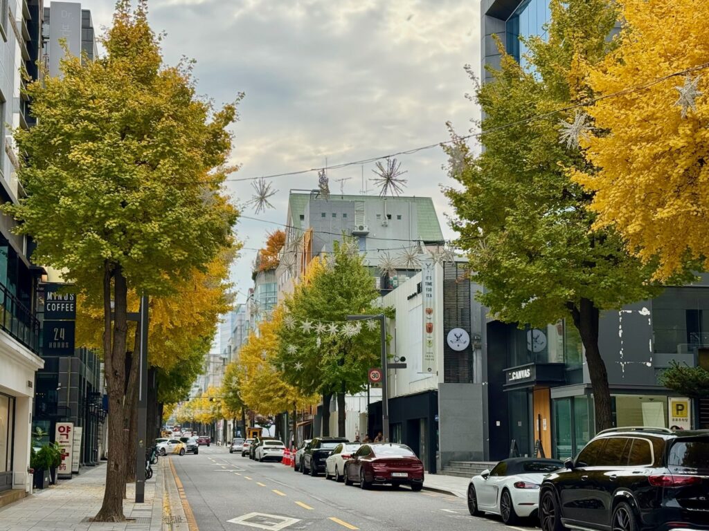 Garosugil Gangnam Seoul