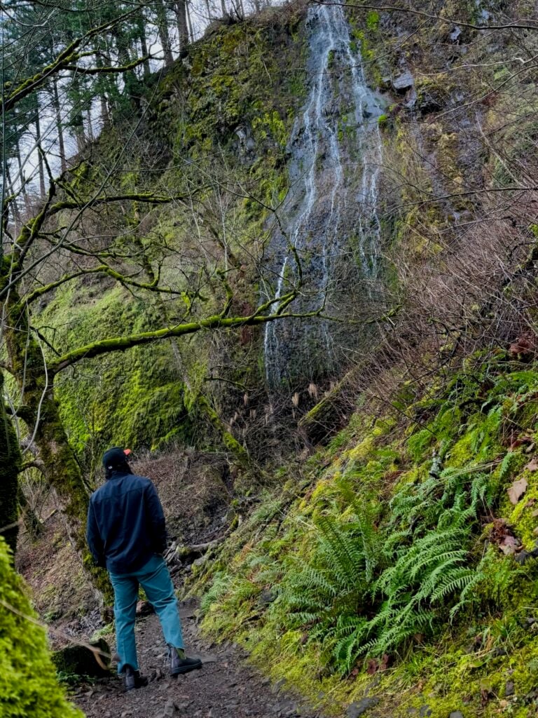 Columbia River Gorge Day Trip - Wahkeena Falls Hike