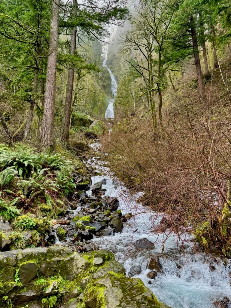 Wahkeena Falls Hike - Columbia River Gorge Itinerary - 1