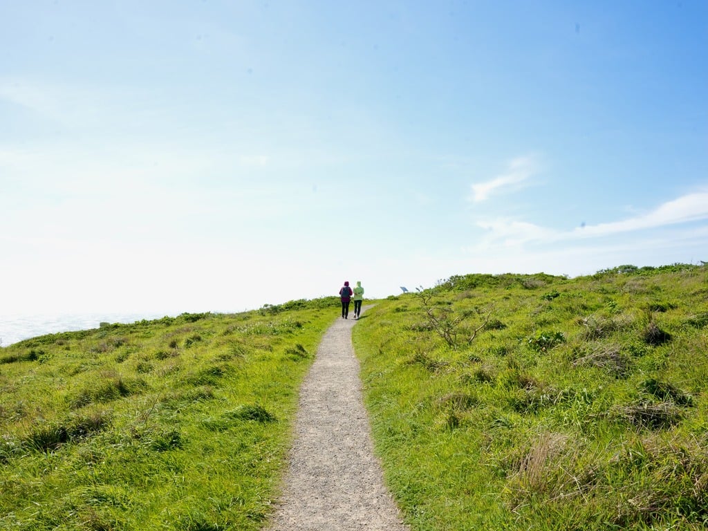 Bodega Bay Trailhead - Sonoma Coast Road Trip