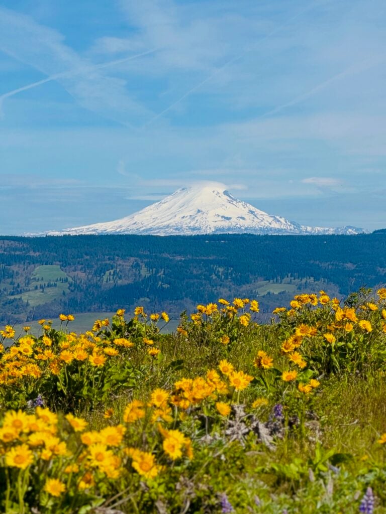 Tom McCall Point Trail - Wildflower Hike Oregon
