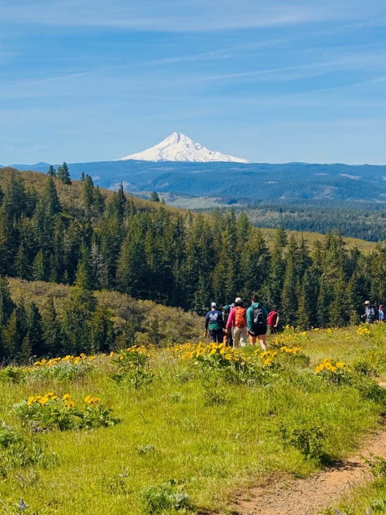 Tom McCall Point Trail - Best Wildflower Hike In Oregon