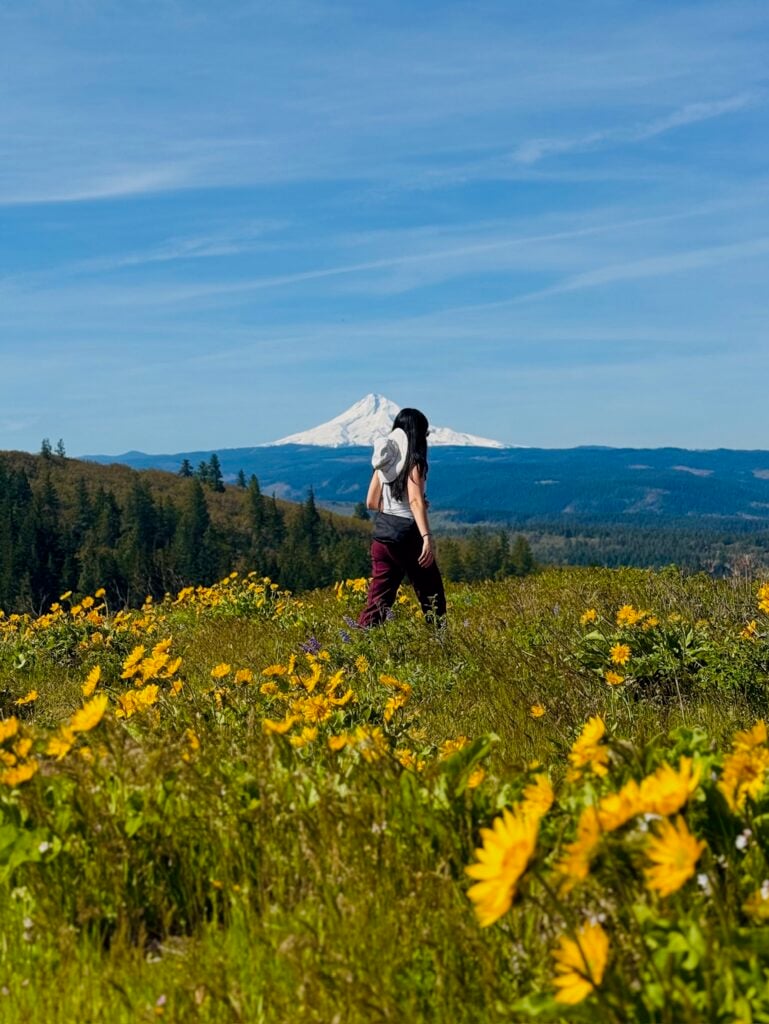 Tom McCall Point Trail - The Perfect Springtime Wildflower Hike