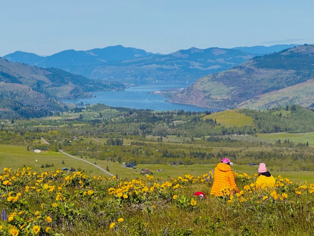 Tom McCall Point Trail - The Perfect Springtime Wildflower Hike