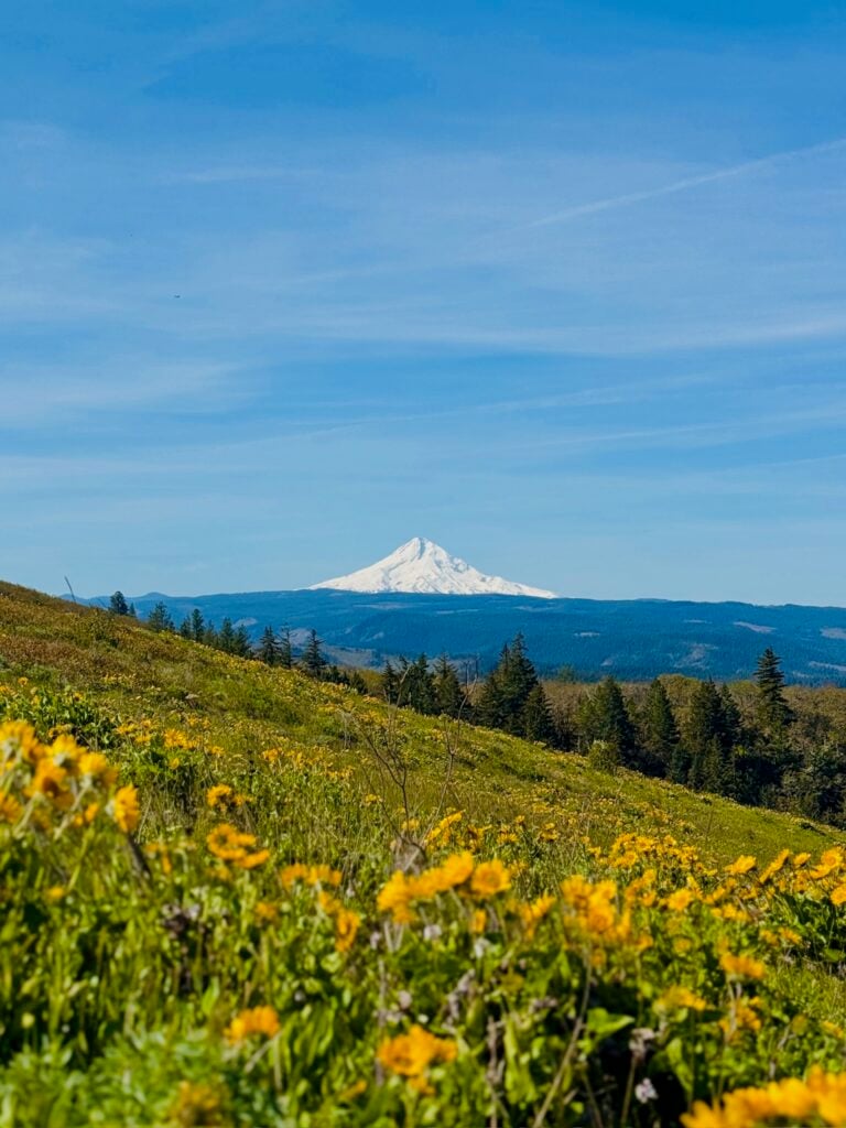 Tom McCall Point Trail - Mount Hood