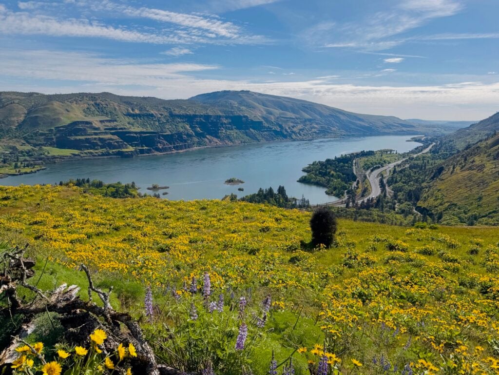 Tom McCall Point Trail - Columbia River Gorge