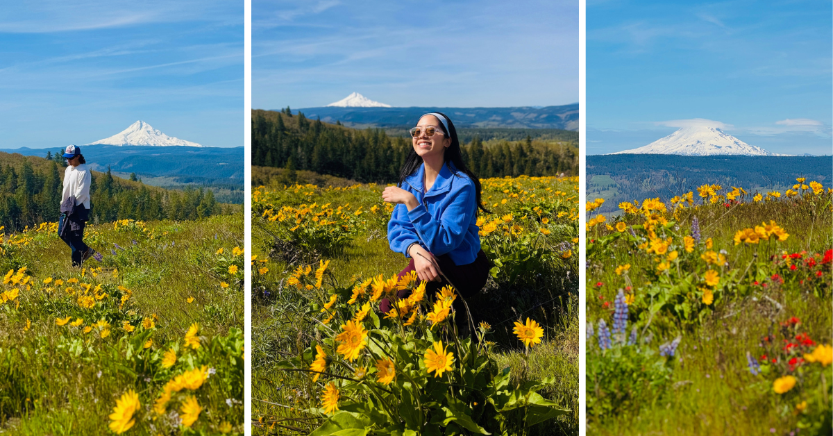 Tom McCall Point Trail - Oregon's Best Wildflower Hike